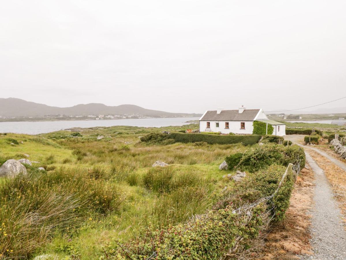 The White House Villa Roundstone Eksteriør billede