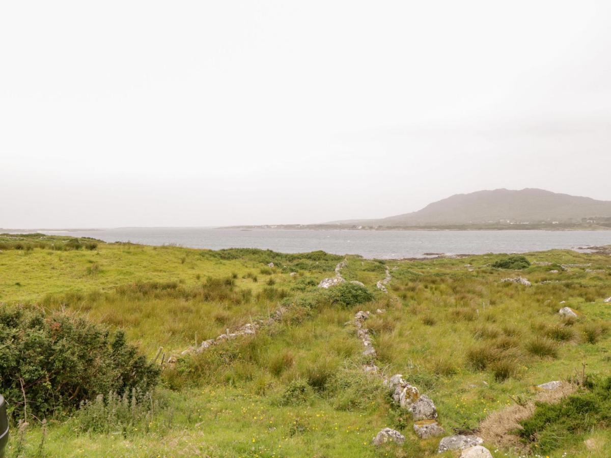 The White House Villa Roundstone Eksteriør billede